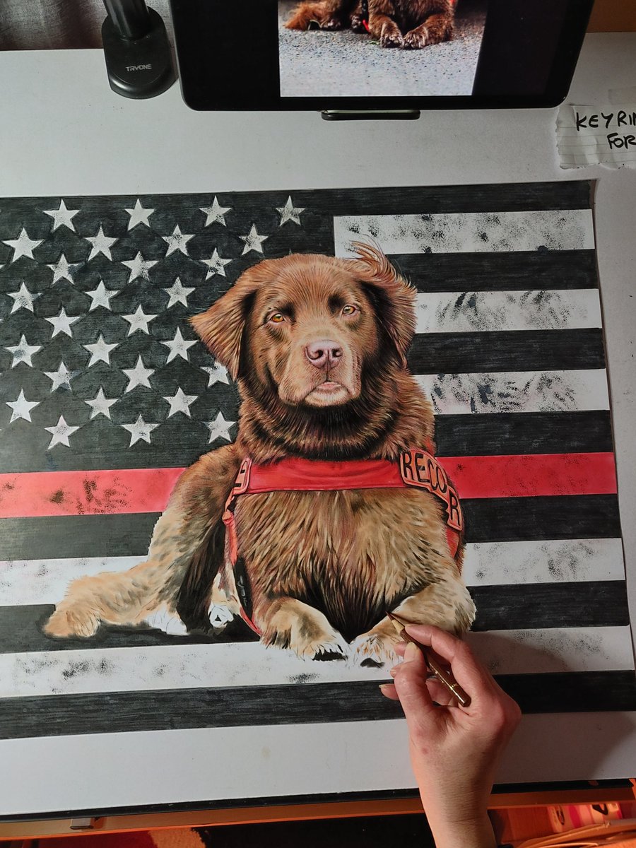 Happy Tuesday all! 🎄 While I draw up my next memorial @ProjectK9Hero portrait, I just wanted to share with you a photo of me creating my very first memorial portrait of gorgeous K9 Remington from January 2022 💙🐕‍🦺🐾x