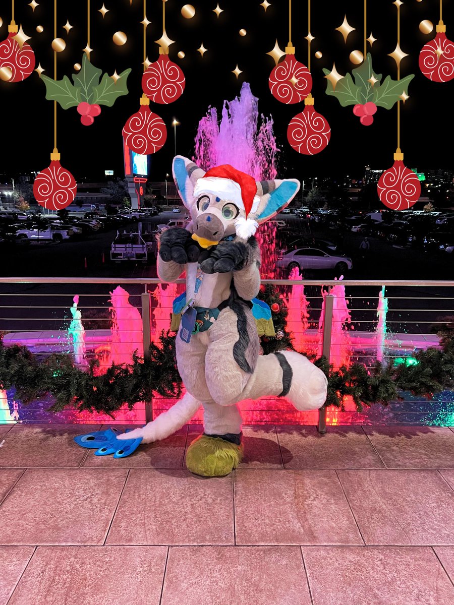 Keiko ⭐️ tweet media