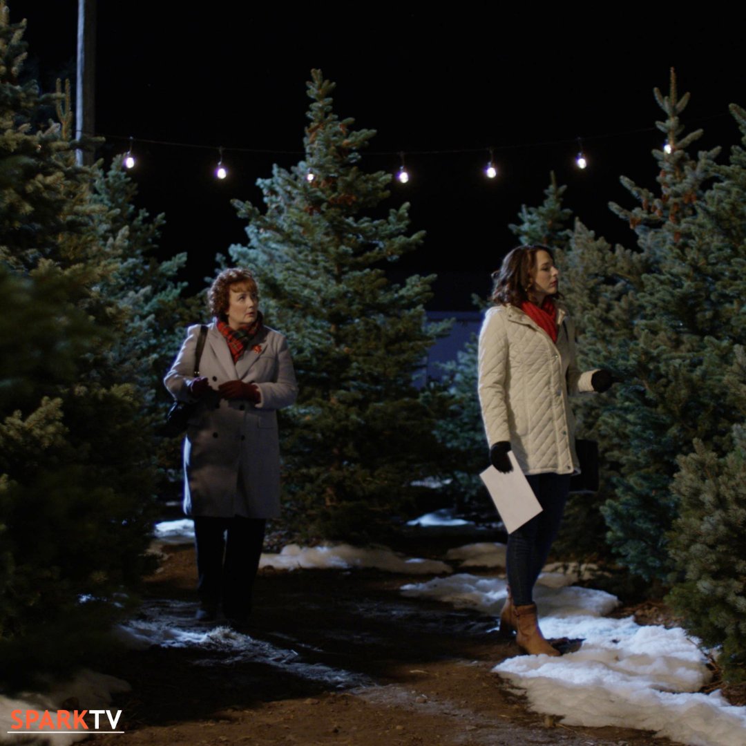 Hopefully you've already picked out your Christmas tree!  

When do you put yours up?

#sparktv #sparktvmovies #youtube #lightandlove #holidays #christmas #christmasmovies #romance #holidaymovies #christmastree #decorations