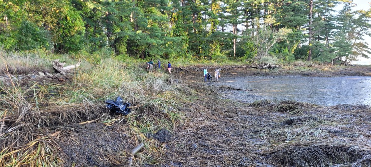 NH Dept Env Services tweet media