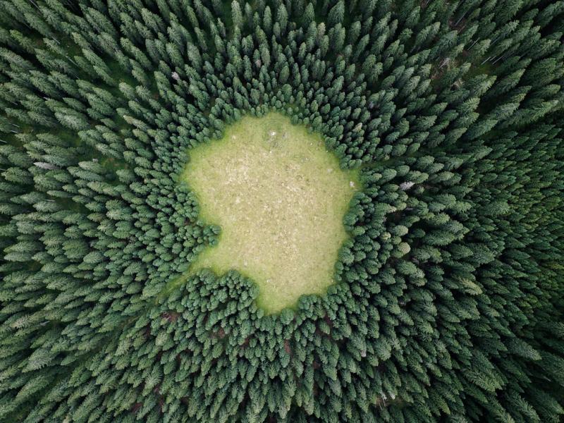 Global healthcare is being impacted by #ClimateChange, and the #ClinicalTrial world is similarly being transformed. <a href="/IQVIA_global/">IQVIA</a> shares ways that organizations can support mitigation strategies and lower their carbon footprints. bit.ly/3RpnBKe