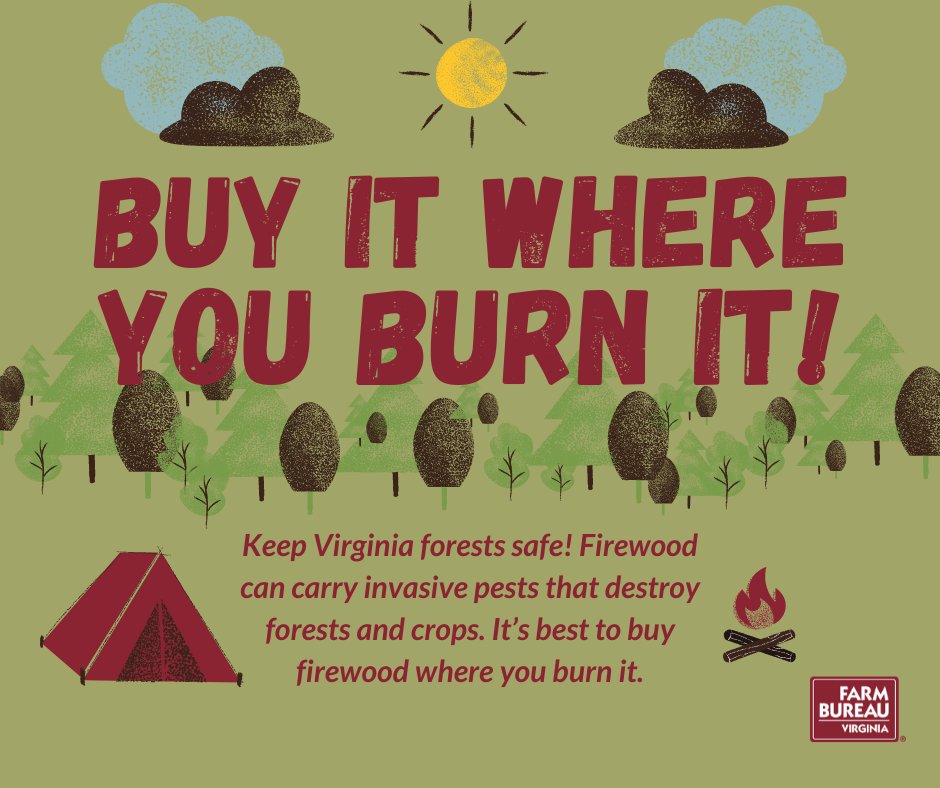Firewood can carry invasive pests that destroy forests and crops. It’s best to buy firewood where you burn it. Visit dontmovefirewood.org to learn more.

#buyitwhereyouburnit #invasivepests #firewood