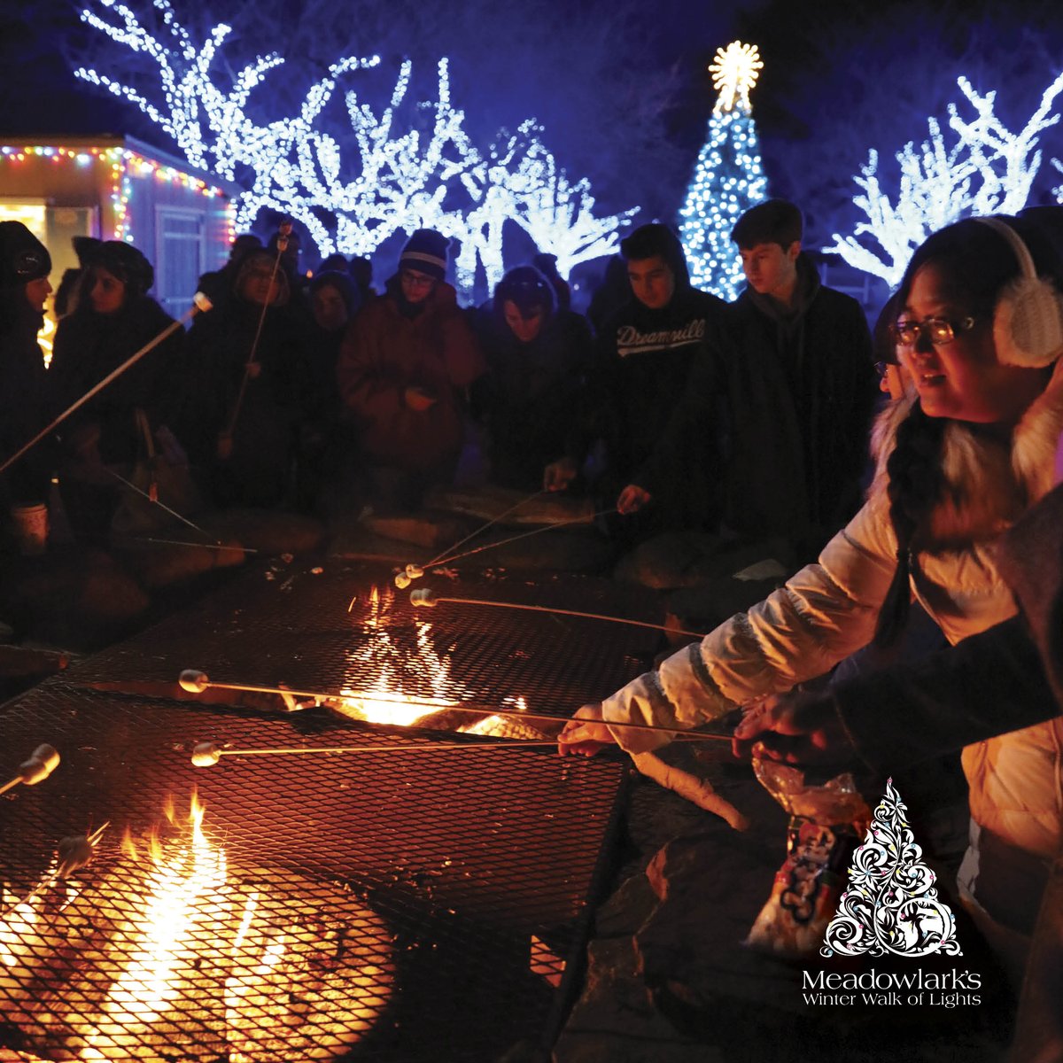 Winter Walk tweet media