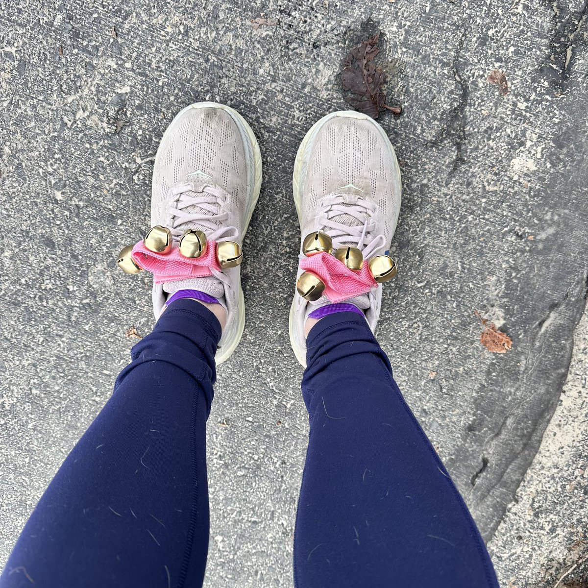 Catherine Patch, M.Ed. tweet media