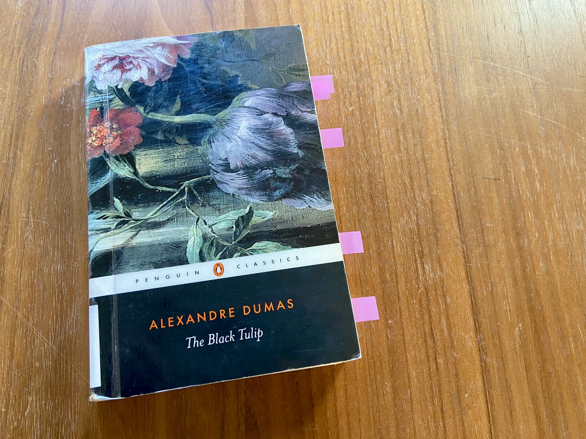 I started reading 'The Black Tulip' for research -- an old cattle baron from the Nebraska Sandhills mentions reading it in one of his letters, calling it 'a perfect farce' -- but I finished it for myself. Guess I'm a sucker for mad horticulturists. What an unexpectedly fun ride!