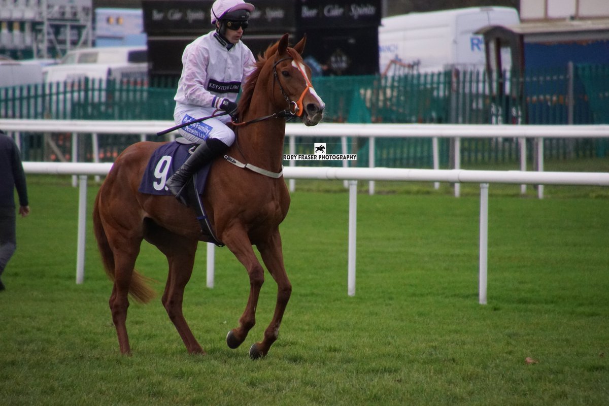 ONE COLOUR (Teofilo x Bluefire) at Doncaster last weekend, trained and owned by @RaeGuestRacing and ridden by Ryan Mania. A dual winner in bumpers, bred by Godolphin and a half sister to Blue Flame, a four time winner on the flat.