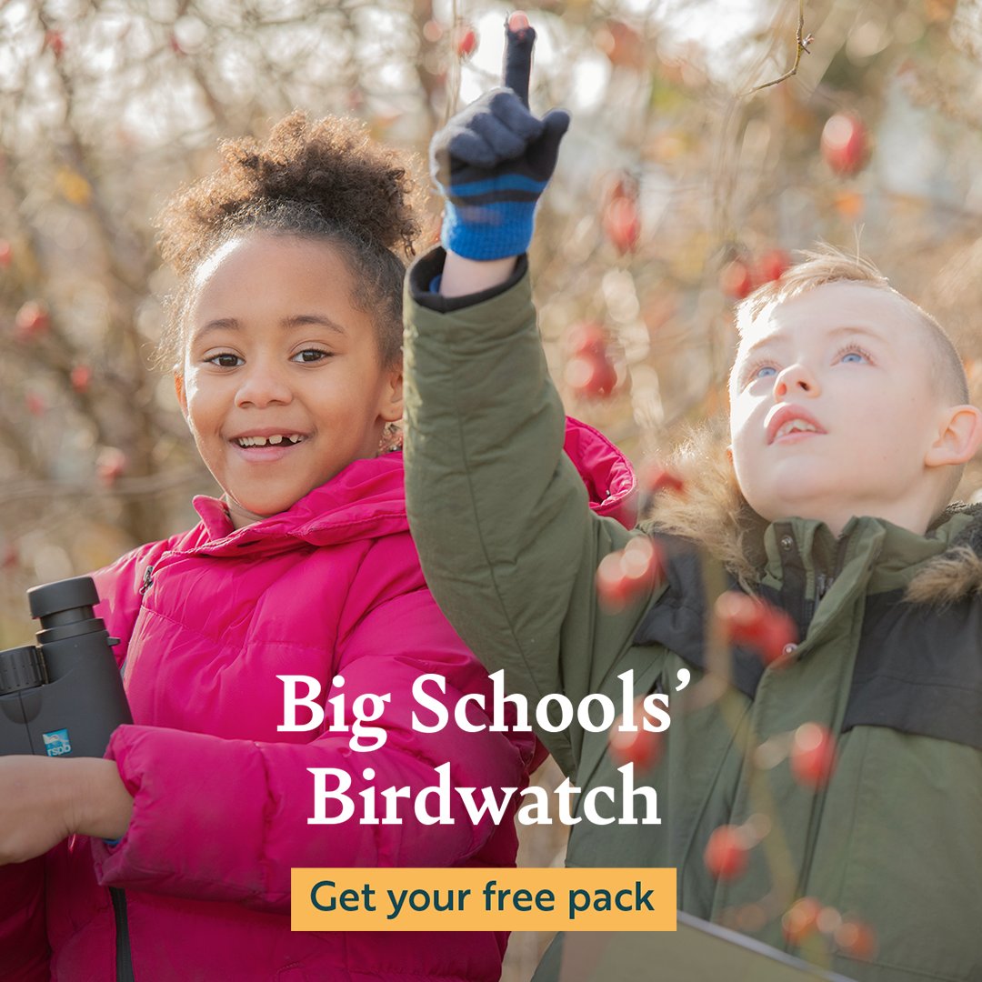 RSPB_Learning's tweet image. You can register for your free #bigschoolsbirdwatch pack here: bit.ly/BigSchoolsBird… and be part of the biggest wildlife project for schools  #outdoorlearning #rspbwildchallenge #teacherinspiration