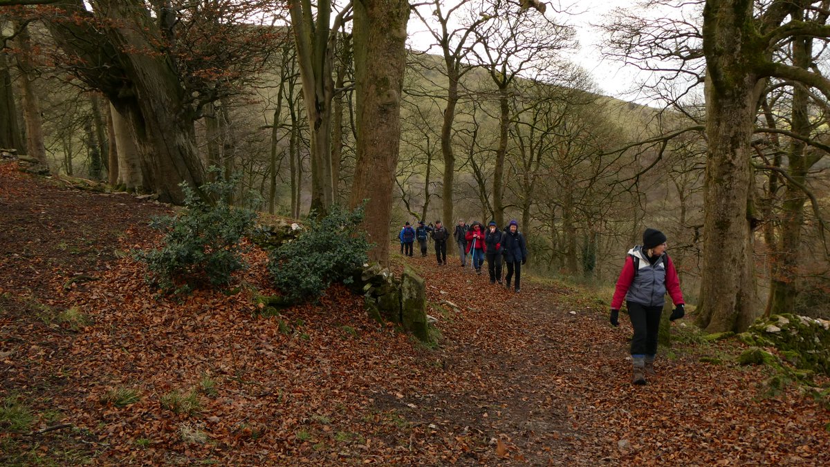 #staffordshirehour January walks can be booked here: eventbrite.com/cc/walk-the-mo… including New Year's Day.