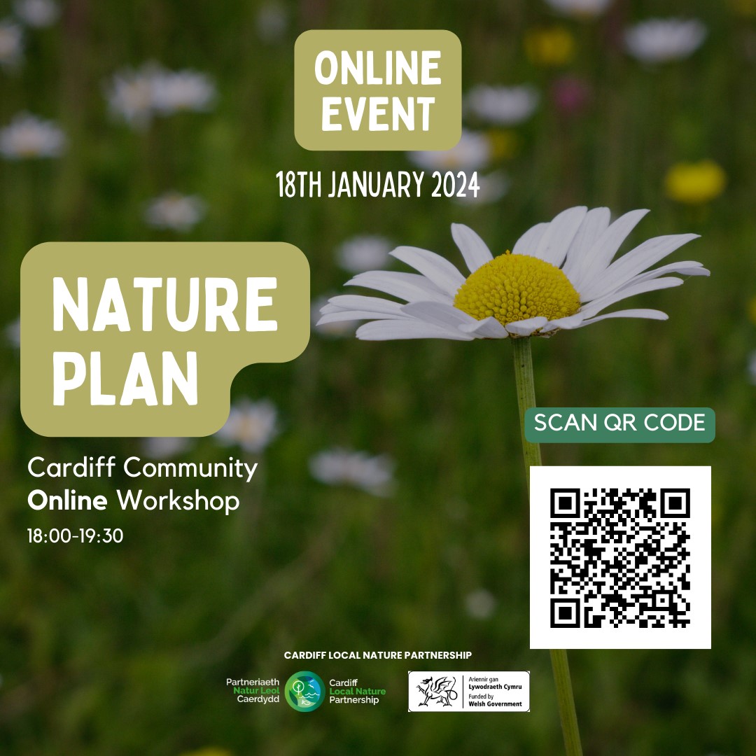 Help Cardiff Local Nature Partnership develop a plan to restore nature in the city, join:

🌳a Nature Plan Community Workshop. More info: orlo.uk/zaeu6

🌳an online workshop. Details here: orlo.uk/6lHiq

Or complete an online survey: orlo.uk/wAnyY