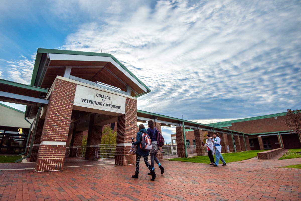 NCStateVetMed's tweet photo. INTRODUCING VETS DEN. Do you want to be a veterinarian but don't know where to start? Next month, #NCStateVetMed is launching VETS DEN, a free virtual club for North Carolina residents interested in veterinary medicine. Learn more and sign up for meetings: https://t.co/bhTrhDagsQ https://t.co/BQz59TVu9A