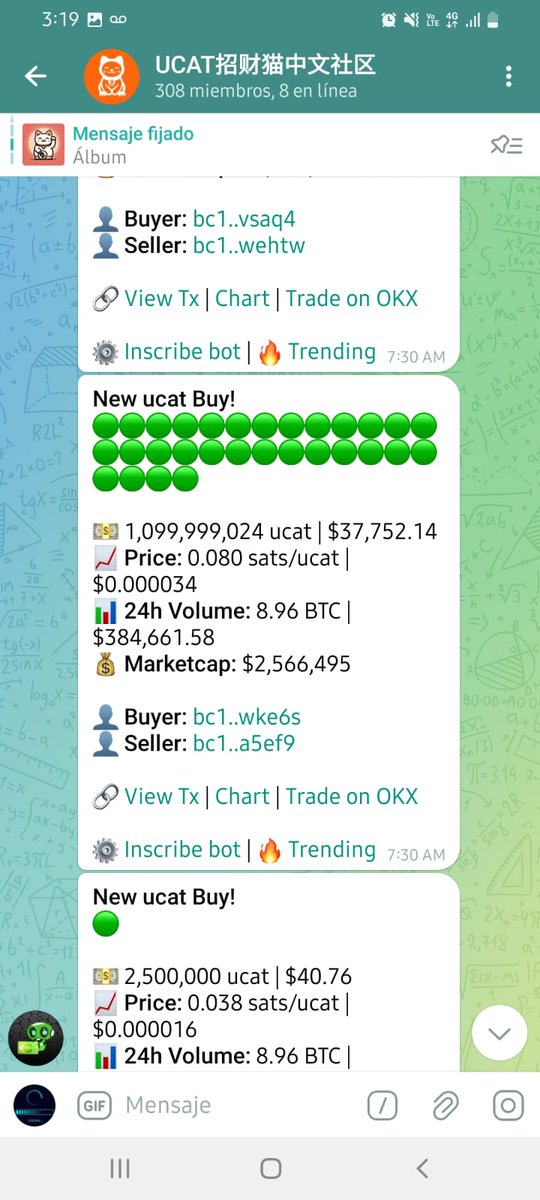 David Polo tweet media