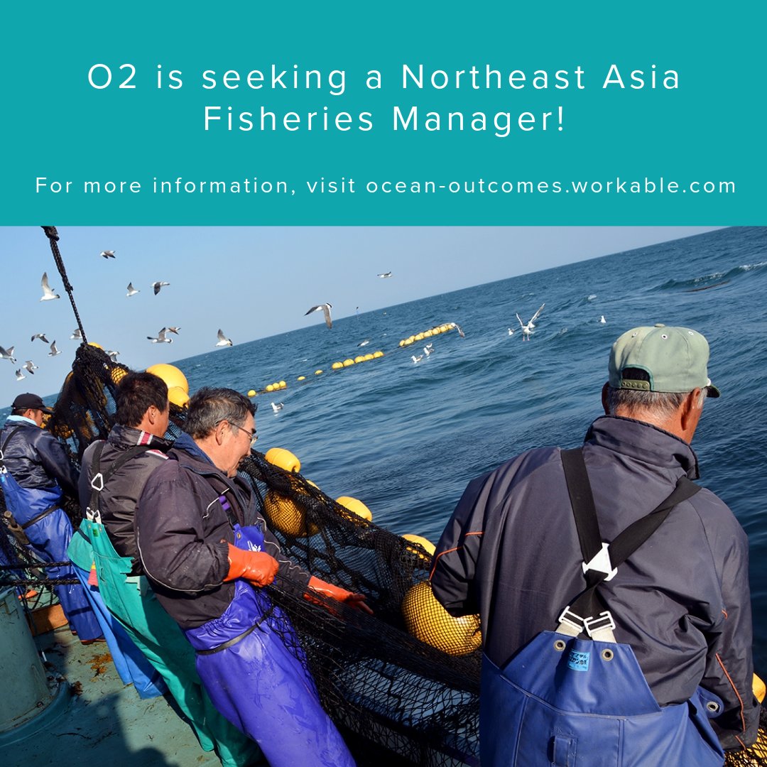 OceanOutcomes's tweet image. 📣 We are Hiring!

O2 is seeking a Fisheries Director to lead our diverse fishery and seafood sustainability initiatives and partnerships across Northeast Asia.

More on this leadership position and how to #JoinOurTeam 👉 bit.ly/40bn96s