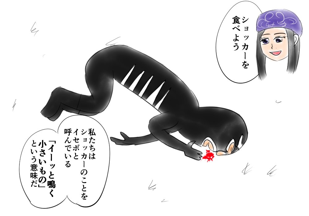 イセボ 
