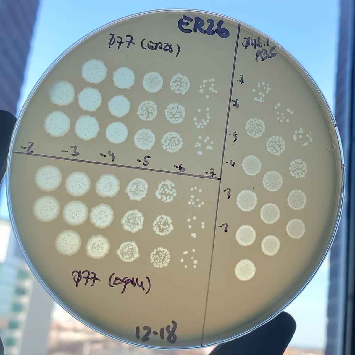 Aesthetic serial dilution spots.