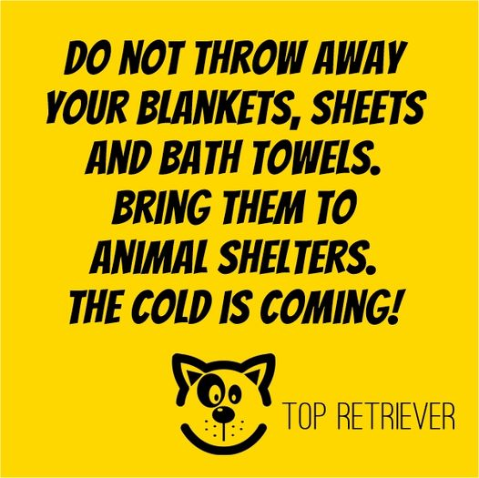 #PSA #RescueIsMyFavoriteBreed #animallover #CatsOfTwitter  #DogsOfTwitter