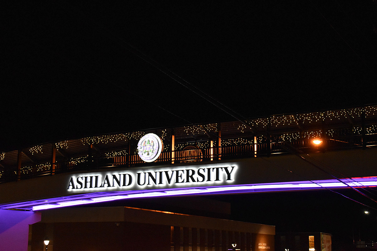 Enjoy some festive scenes from around campus to help get you in the holiday mood! 🎄🎁☃️🔔💜💛