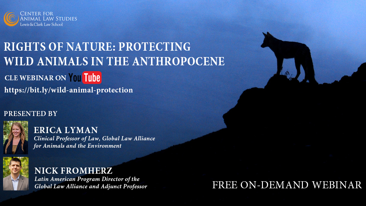 (1/2) Interested in protecting wild animals and getting your continuing legal education credits before the end of year? We have you covered. 🐅 Check out our latest CLE with Erica Lyman and @NickFromherz from @GLAatLC ➡️ bit.ly/wild-animal-pr…