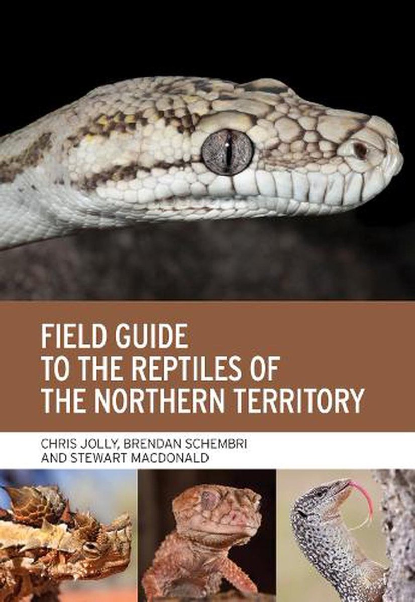 In the latest #AustralEcology #BookReview, @DrDMichael: 'Field guide to the reptiles of Northern Territory is a true gem for anyone enthusiastic about reptiles' 🐍🦎 bit.ly/45enOW8