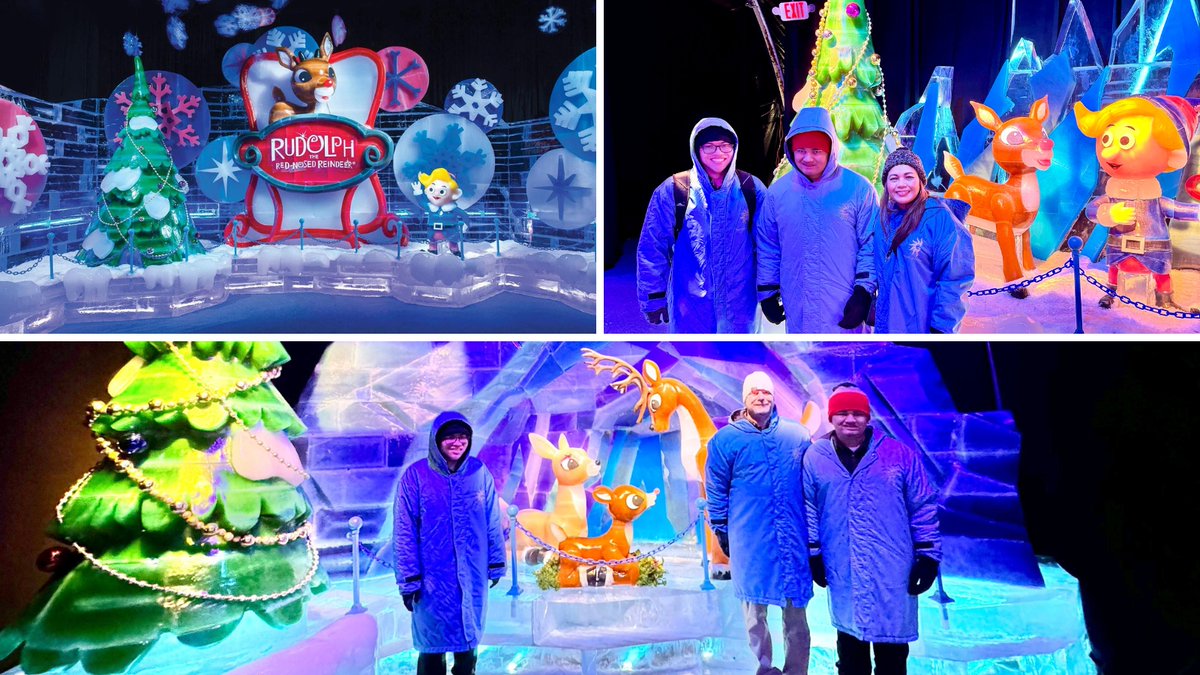 ✨☃️❄️ Check out my recap of our family's fun-filled 'Christmas at Gaylord National' experience this year! ✨☃️🎄 Full story HERE: tinyurl.com/596e4bcj @GaylordNational #somuchchristmas #gaylordnationalchristmas #sponsored #blueparka #Christmas #hipmamasplace