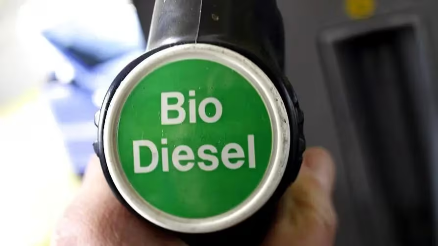 S4F_Leipzig's tweet photo. Der Anbau von Raps, Mais und Getreide zur Produktion von Biodiesel, Bioethanol und Biomethan ist eine massive Verschwendung von wertvollen Flächen. Würden auf den gleichen Flächen Solarparks errichtet, wäre der Ertrag an Energie etwa um das 40-Fache höher. https://t.co/undr6mi5xX
