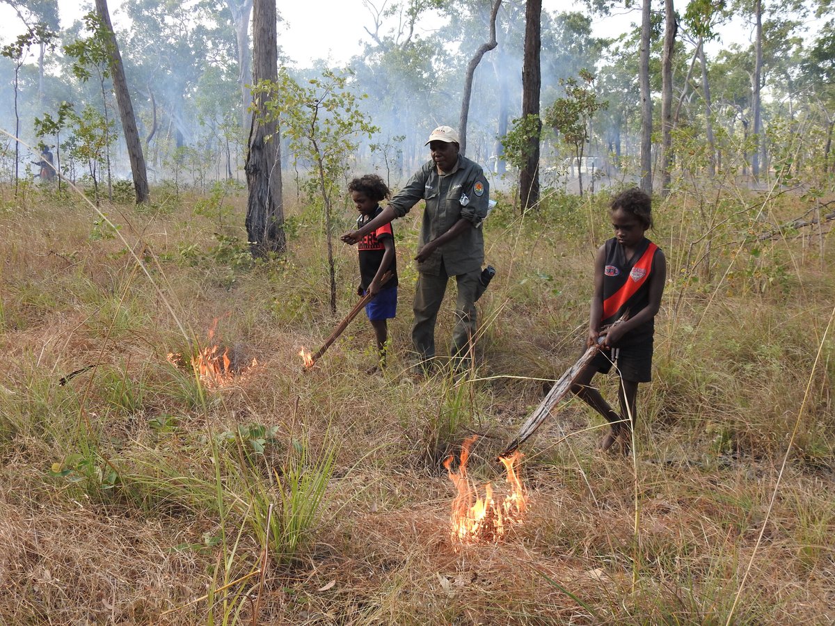 Simon West (@sim_patrickwest) on Twitter photo Indigenous-led #monitoring and #evaluation recognises #Indigenous authority + expertise in defining methods, indicators and governance
New #OpenAccess paper led by Dr Otto Campion + <a href="/ArafuraSRangers/">Arafura Swamp Rangers</a> presents Yolŋu + Bi monitoring of Healthy Country Plan
bit.ly/3RPBNxy Indigenous-led #monitoring and #evaluation recognises #Indigenous authority + expertise in defining methods, indicators and governance
New #OpenAccess paper led by Dr Otto Campion + <a href="/ArafuraSRangers/">Arafura Swamp Rangers</a> presents Yolŋu + Bi monitoring of Healthy Country Plan
bit.ly/3RPBNxy