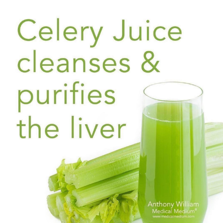 144Health's tweet image. #Celery Juice cleanses &amp;amp; purifies the liver