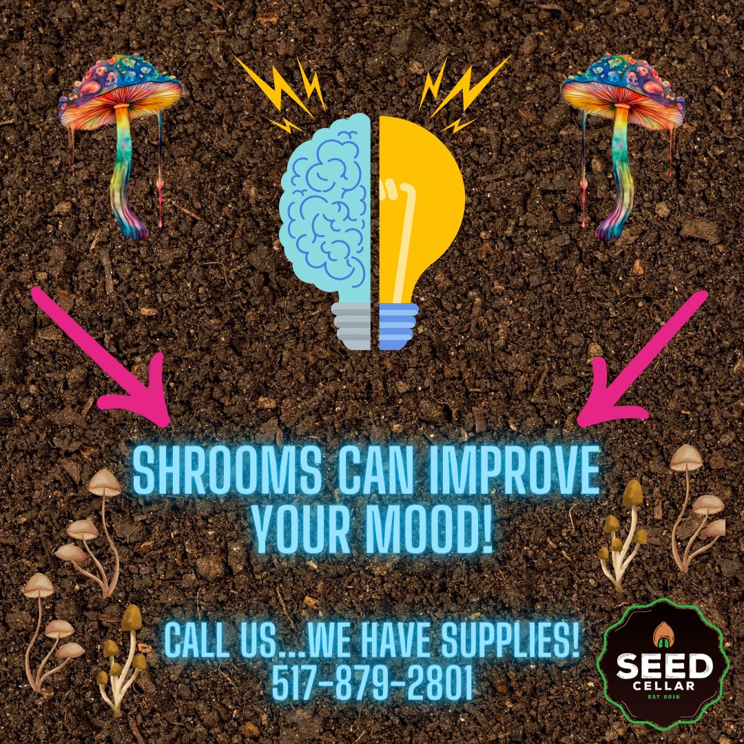 Shr00ms can improve your mood, productivity, and creativity! CALL US...we have supplies!! 517-879-2801
rpb.li/pWy

#SeedCellar
#growyourown
#howtogrow
#mushrooms
#spores
#magicmushrooms
#mushlove