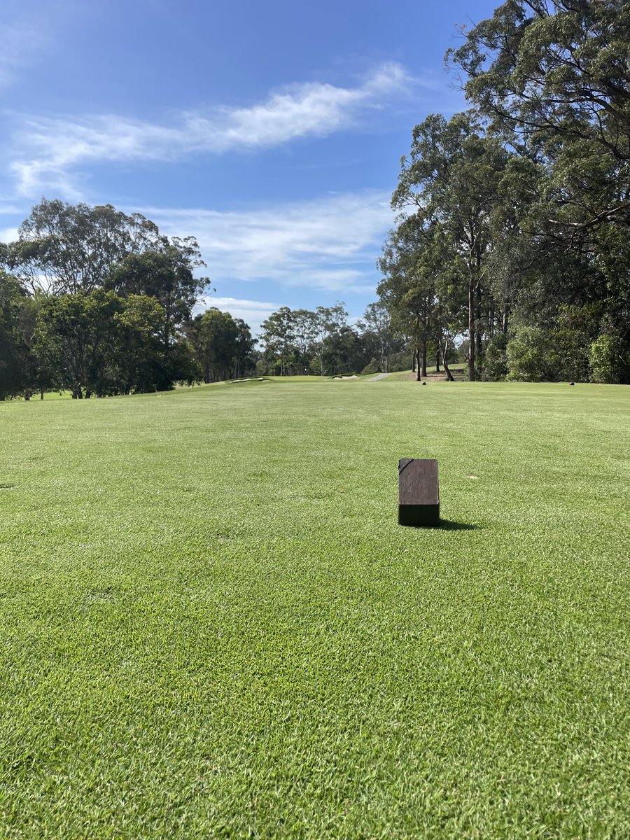 Our zoysia is glowing for 1st Rnd PGA Legends Sunshine Coast tour