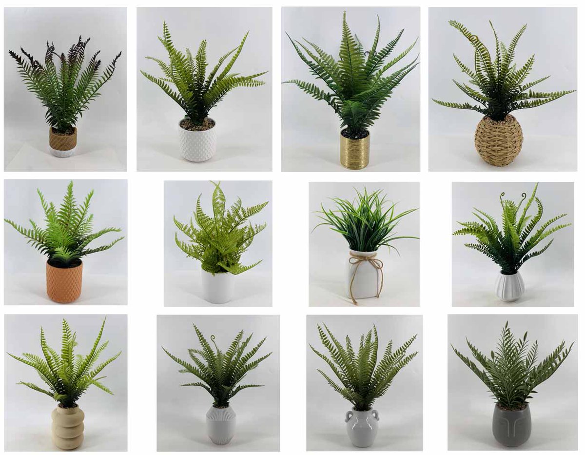 luln151923's tweet image. #artificial #Fernleaf #plants