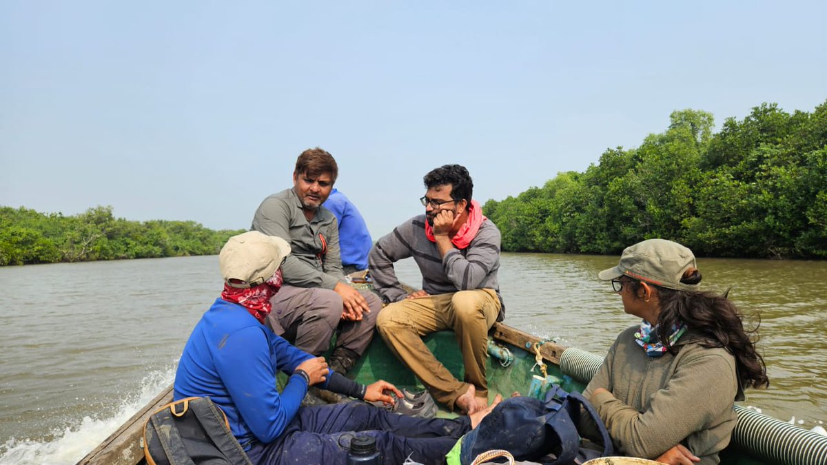 Mangrove Montioring India : Continuing our efforts towards setting up network of #rSETS across India, we are in the beautiful #mangroves of Godavari delta - Coringa Wildlife Sanctuary. Great support from @APEnvFor, @USFS Intl program & @mssrf.

@CIFOR_ICRAF @USAIDEnviro
