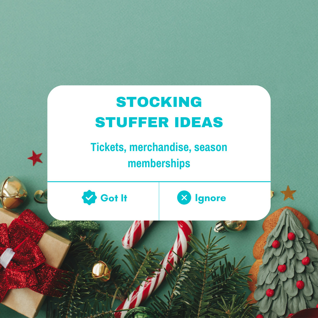 Need some more ideas for stocking stuffers this Christmas? 🎁

Tickets to women's sporting events, merchandise, season memberships or even personalised messages from your favourite female athletes are all great ideas! 

 #SportingChanceCollective #StockingStuffer #FemaleAthlete