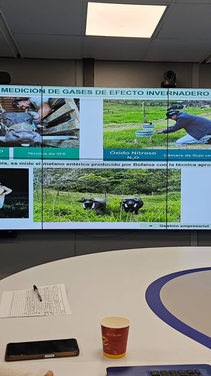 Asobufalos tweet media
