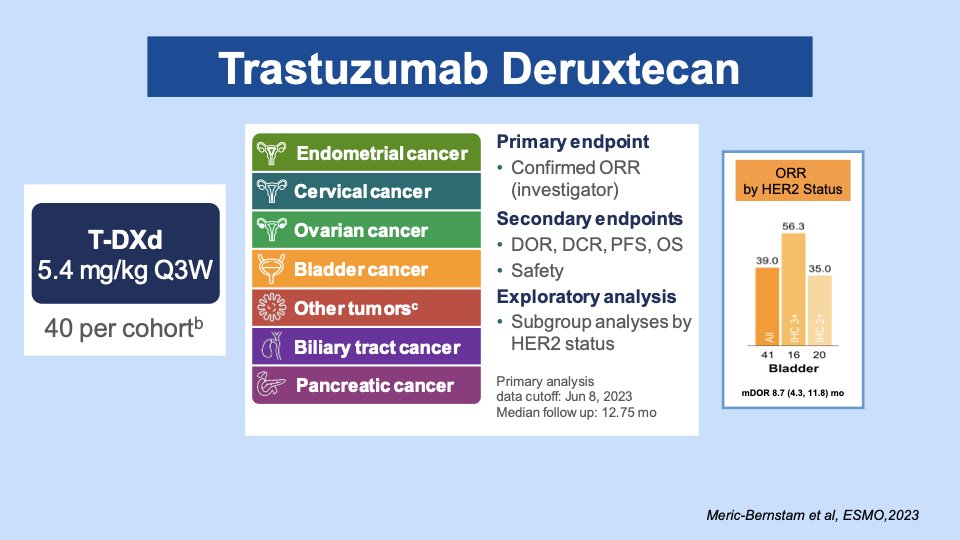 @JonAnker1 @TumorBoardTues @AmandaNizamMD @brian_rini @PGrivasMDPhD @Prof_Nick_James @DrChoueiri @DrRanaMcKay @rafee_talukder @shilpaonc @Adam_Weiner535 @adamkibel_uro @AOmlin @arnabguonc @arvinkgeorge @AzadOncology @CanesDavid @ciaraconduit @DanaFarber_GU @Daniel_J_George @arkhaki @glovedoc @DanielPetrylak @DAnnGeorge1 @dmukherji @DrTylerStewart @EAntonarakis @EAU_Uroonco @Ecastromarcos @EdwardSchaeffer @EJonasch @fazekasMD @JCensits @KidneyCancerDoc @M_SoteloLezama @RenoHemonc @RPachynski @ScotNiglio @Uro_Oncologist @UroCancerMD @JVentoMD @tompowles1 @drfrankiejs @katy_beckermann @AJangMD @MichvdHeijden @sonpavde @AndreaNecchi