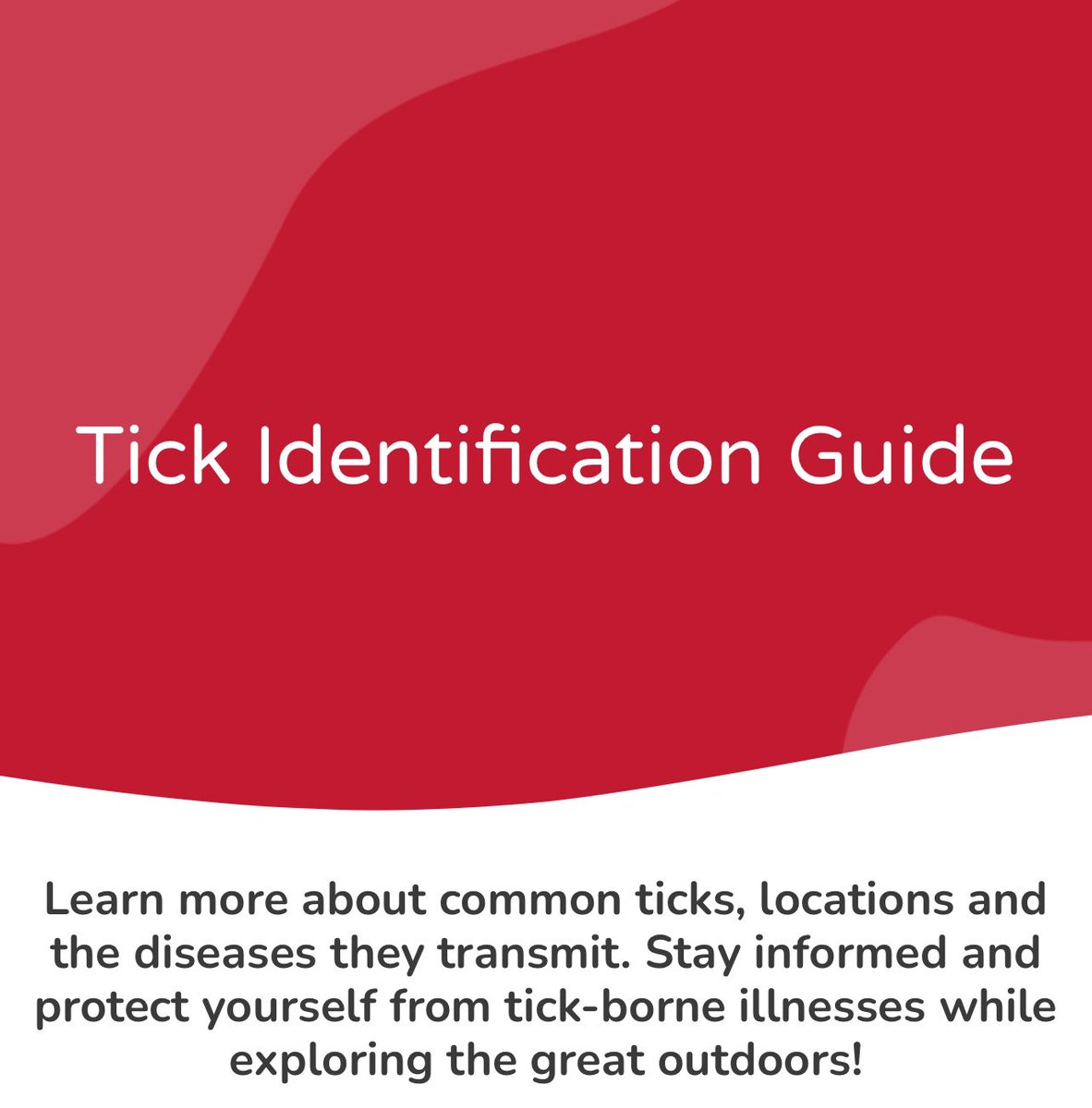 Learn more about which ticks are out there! Tick Identification Guide: ticktweezers.com/tick-identific… 

#ticks #lyme #publichealth #environmental #vector #health @IpmTick @TickAppOnTour @TickReport