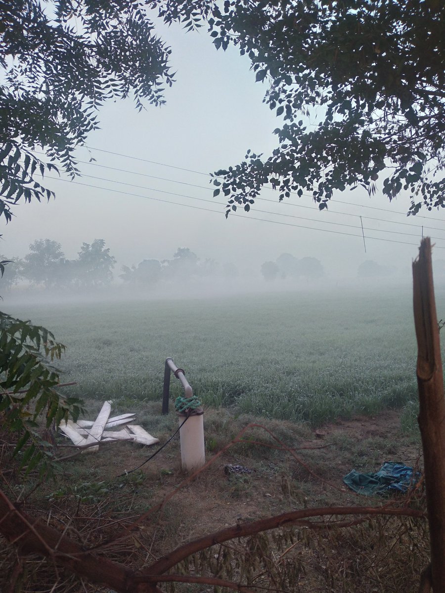 Fatehpur Shekhawati (Manual) in Rajasthan recorded 0.5°C Minimum Temperature today Mahendragarh 3.7°C Balsamand (Hisar) 3.8°C Damla (Yamunanagar) 4.2°C Rewari Manual 4.5°C Panchkula 5.1°C Ujwa (Delhi) 5.4°C
