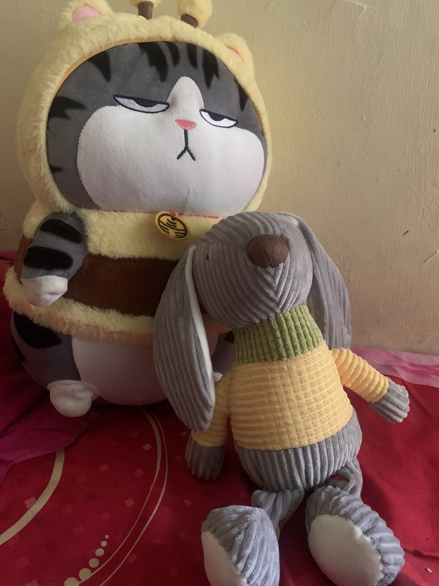 dprkrlsasxl's tweet photo. Inner child ku menangis ketemu sama cowo ku ini 😭 Waktu kecil pengen boneka lucu2 gabisa kebeli https://t.co/esuzVlv8hi