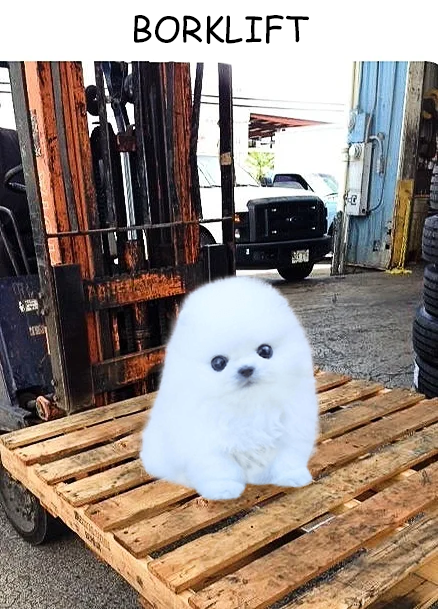 BORK tweet media