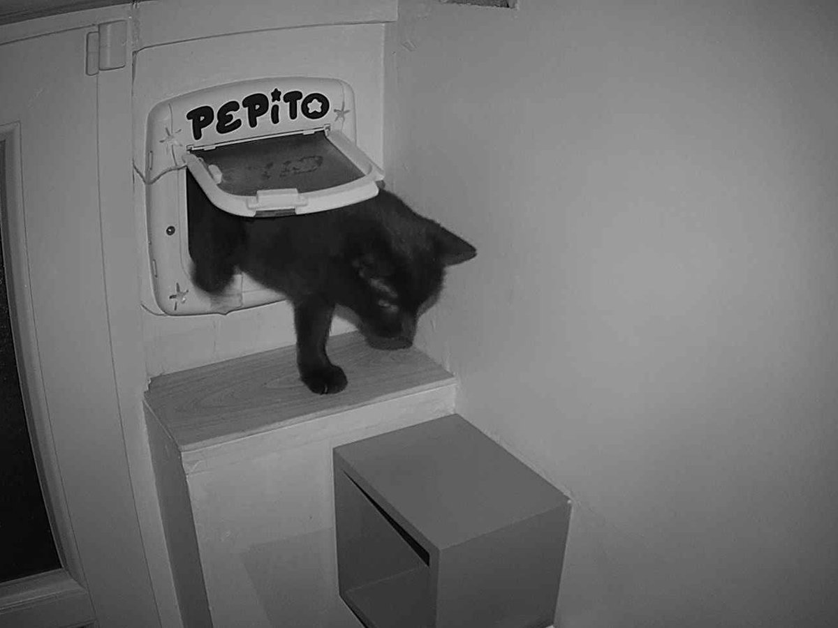 Pépito tweet media