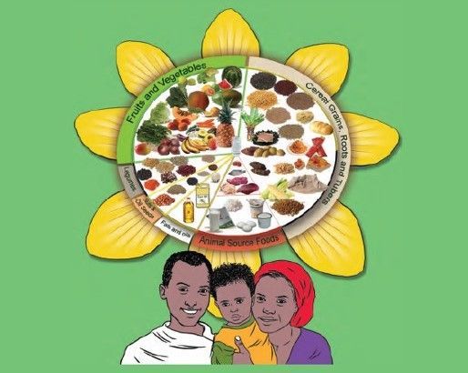 The Ethiopian food-based dietary guidelines: Gamechanger for food system transformation? New project note from SHiFT buff.ly/41t1iYO