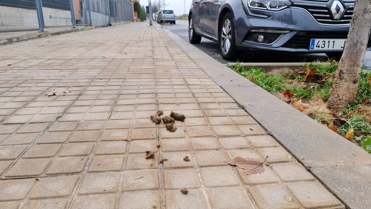 Si una ciudad como #Arganda se le suman los factores: Vecinos Incivilizados, Ausencia de servicio de limpieza de aceras y un cuerpo de policía local que no multa ni está presente, el resultado es una Ciudad Sucia. <a href="/Arganda_Ayto/">Arganda del Rey</a> y <a href="/AlbertoEscri/">Alberto Escribano</a> el registro de ADN canino ayudaria