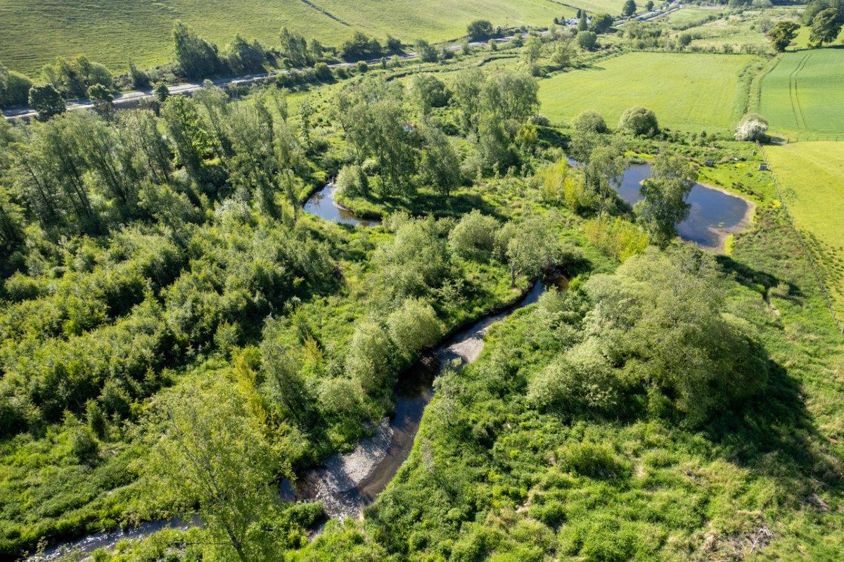 Check out our new @FishmongersCo-commissioned & funded free guide to riverside tree planting and help protect #Atlanticsalmon from some of the effects of #climatechange. The Guide shares some of our two decades of tree-planting experience. Download here tinyurl.com/yc67umzv