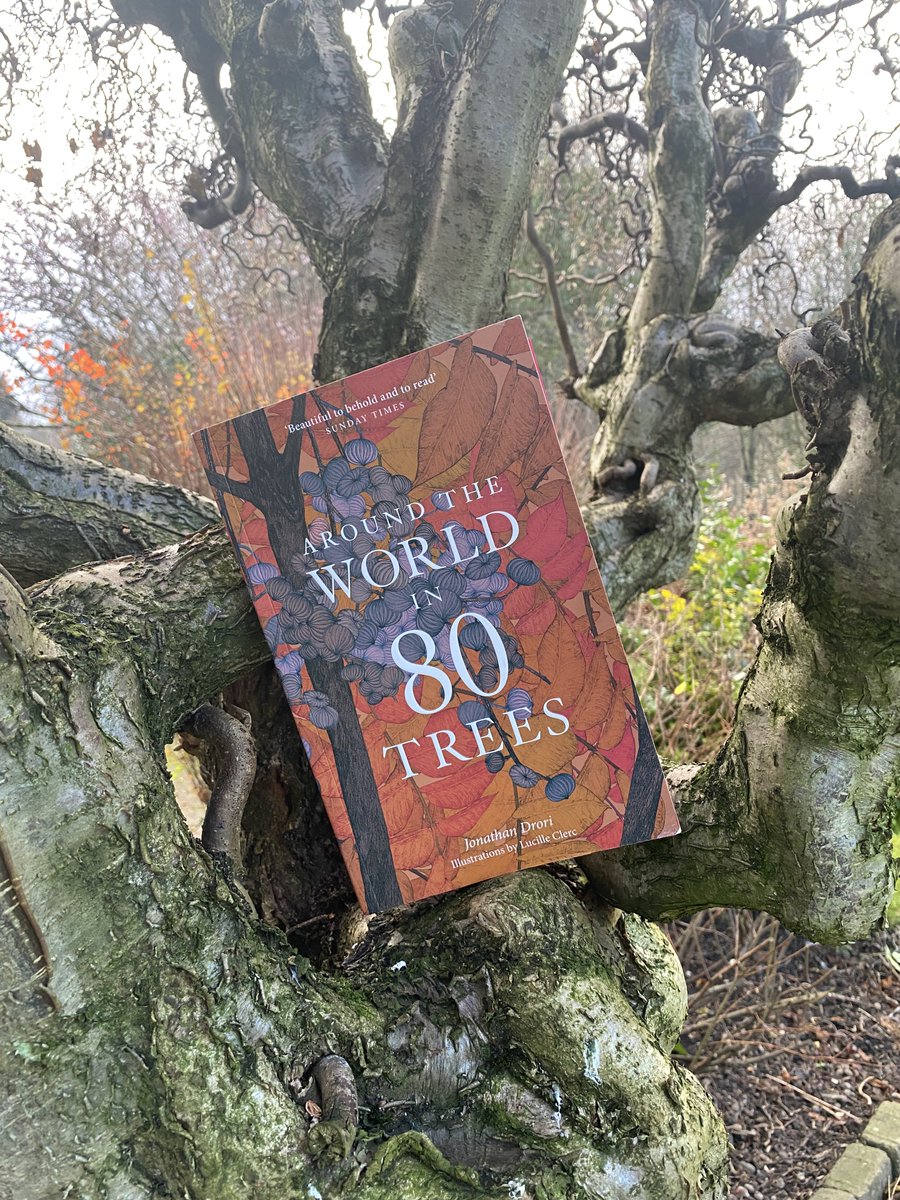 Looking for a present for someone who loves #trees and wants to find out a little more about them...? Around the World in 80 Trees by @jondrori Illustrated by Lucille Clerc tripfiction.com/eighty-tales-o… to Georgina @Wilbur_Niso_Fdn for the heads up on this one!