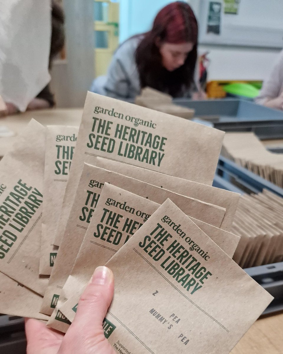 What's even better than saving your own #seeds? Sharing them! We've got a full list of UK #seedswaps for 2024, organised by our friends and supporters. Head to 👉 gardenorganic.org.uk/what-we-do/hsl… to find one near you. What will you be swapping this year?