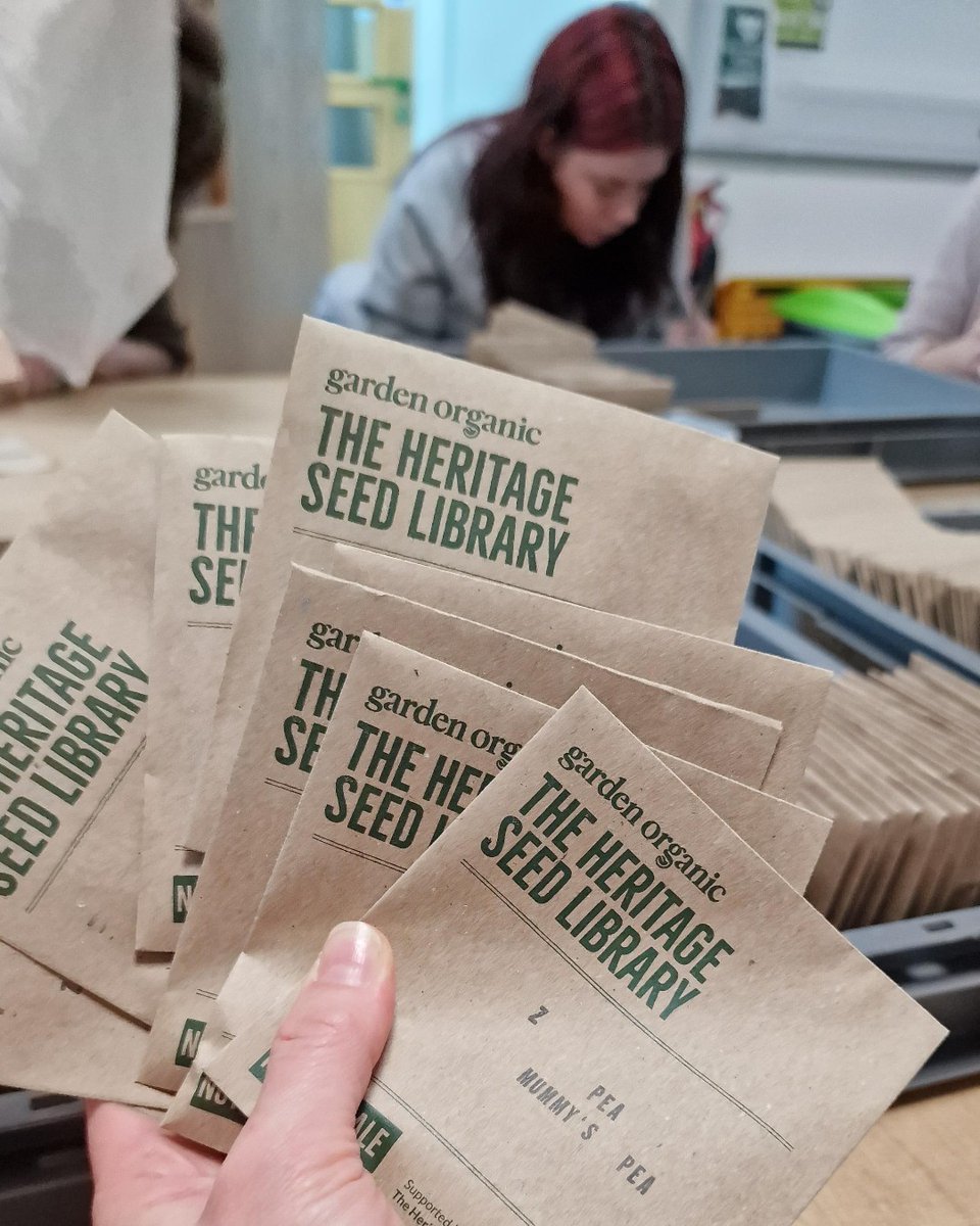 What's even better than saving your own #seeds? Sharing them! We've got a full list of UK #seedswaps for 2024, organised by our friends and supporters. Head to 👉 gardenorganic.org.uk/what-we-do/hsl… to find one near you. What will you be swapping this year?