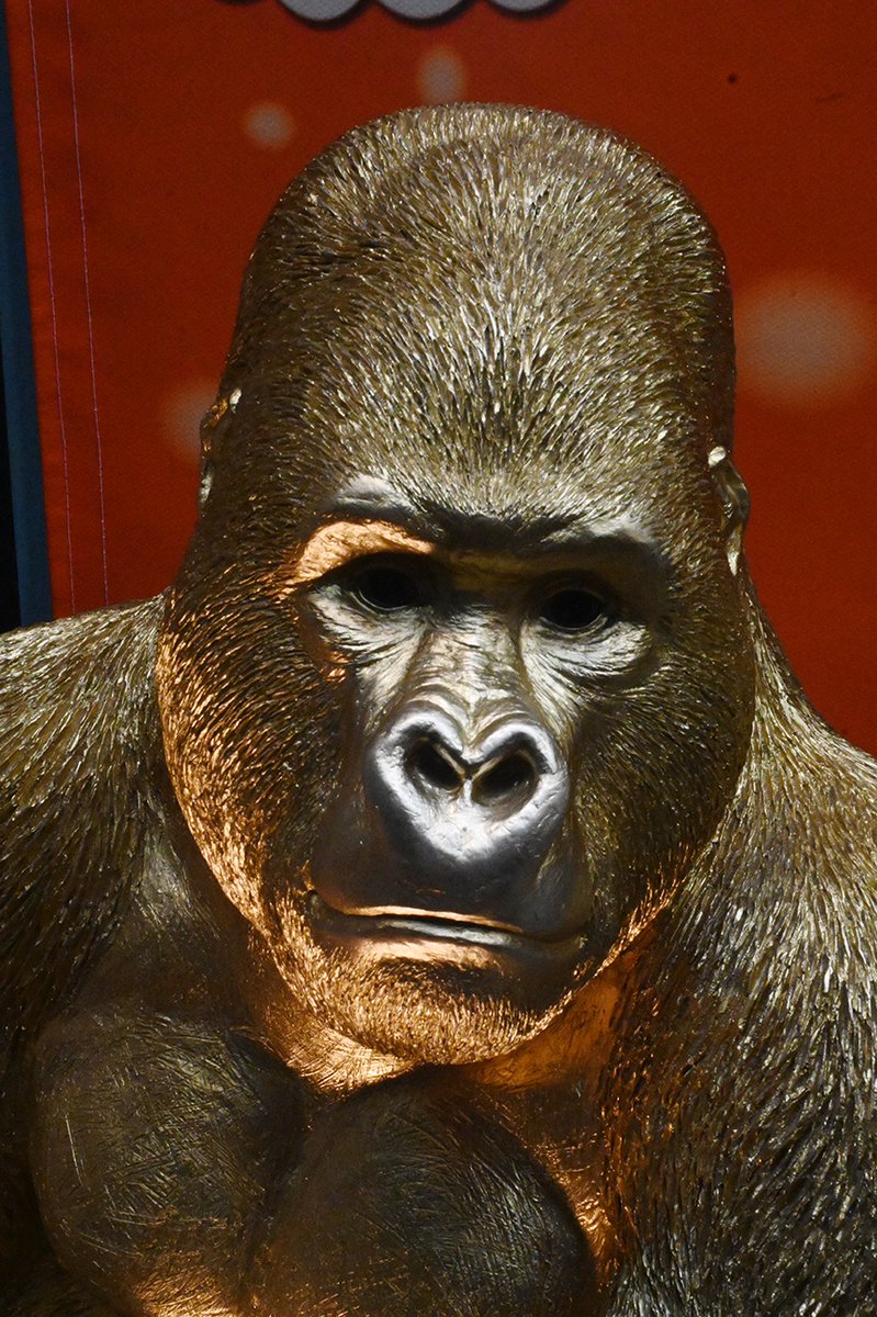 2nd_focus's tweet image. テンション爆上げされました🤩
ついでに金運も❣️（だと良いな〜）
POLAR Solaron-M 35mm F2.0 Gold
スナップ、楽しいですよ📸

#polaroptics
#polar
#solaron
#solaron35
#2ndfocus
#スナップ写真