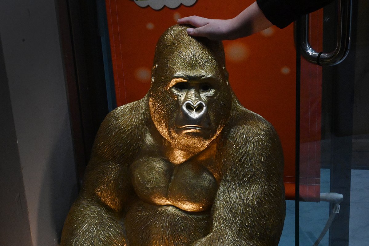 2nd_focus's tweet image. テンション爆上げされました🤩
ついでに金運も❣️（だと良いな〜）
POLAR Solaron-M 35mm F2.0 Gold
スナップ、楽しいですよ📸

#polaroptics
#polar
#solaron
#solaron35
#2ndfocus
#スナップ写真