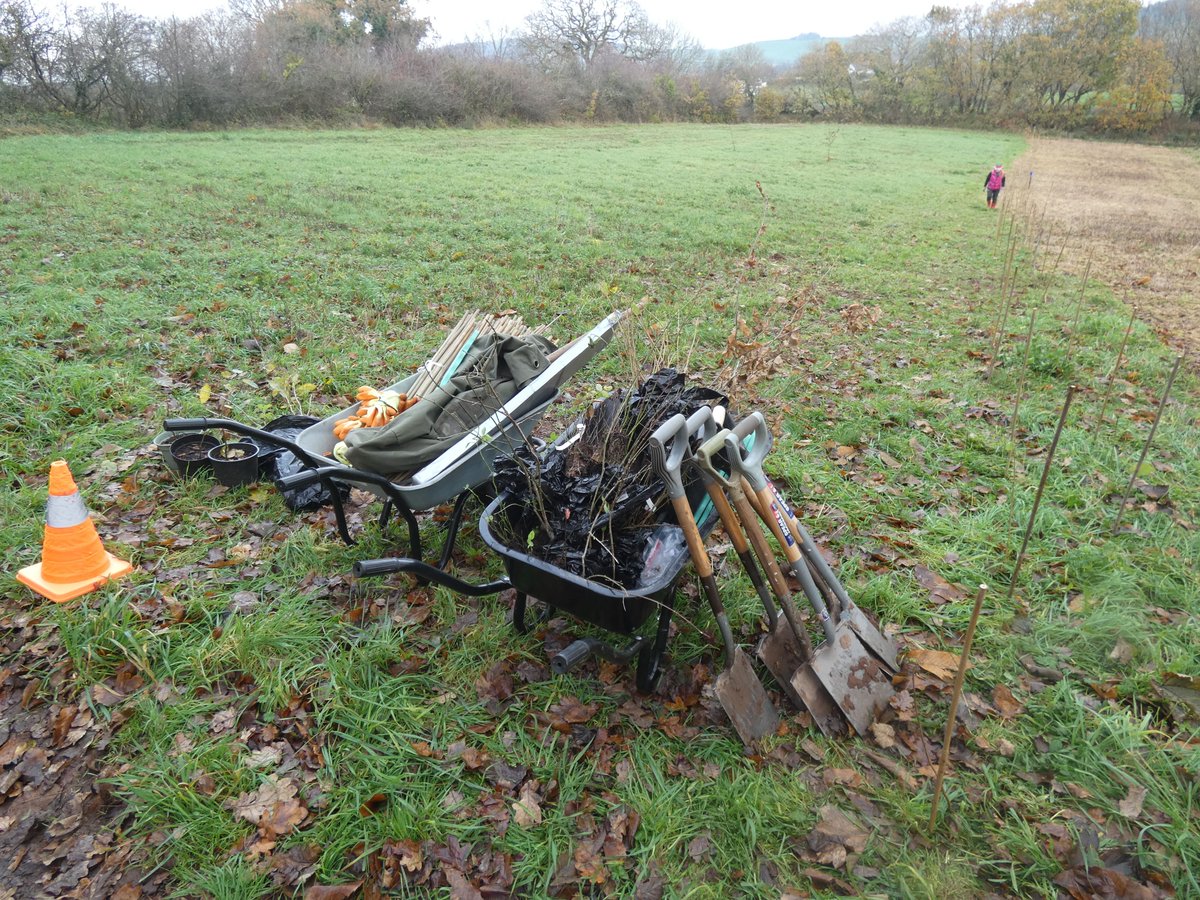 To mark National Tree Week earlier this month @NHSForest have distributed 5,500 #trees to 29 #NHS sites and we were really lucky to have received 450 of these, many of which are being planted at Langdon in #Dawlish and New Leaf in #Exminster. Read more: orlo.uk/4YyPv