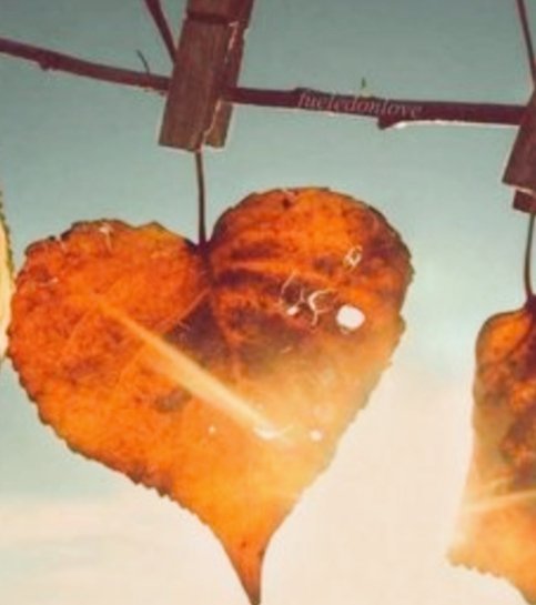 _masalgibi's tweet image. *

biraz da kendi masaLını
kendi yazmaLı insan

inatLa UmutLa 

&quot;. • Hergün &quot;•. /...
**

#çarşamba🌼
#günaydın ☕