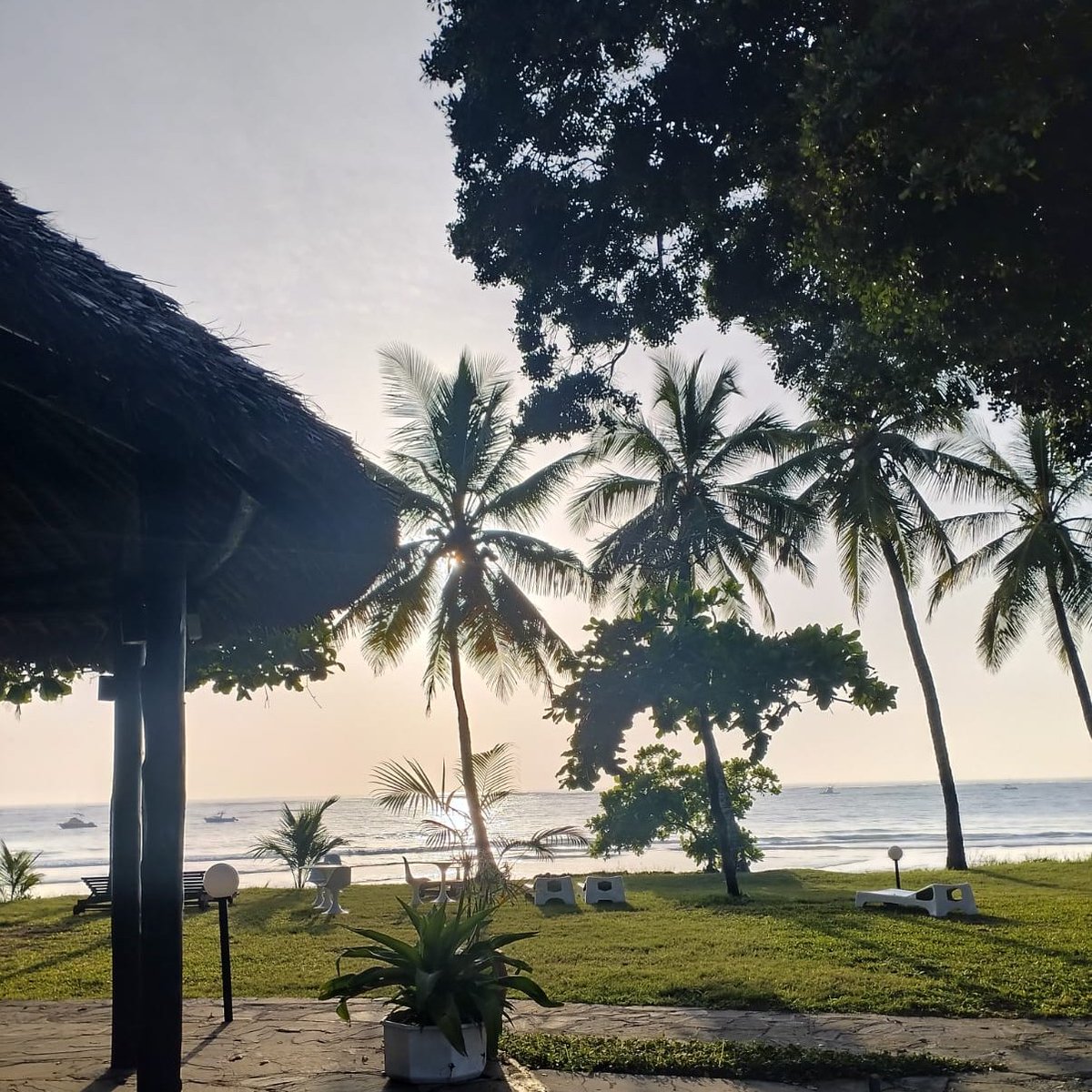 Mornings are made magical here!
#SafariBeachDiani #GoodMorning #BeachSunrise #DianiBeach #diani #BeachStay #ADelightfulPlaceToWander #BeachParadise #BeachDestination #MagicalKenya