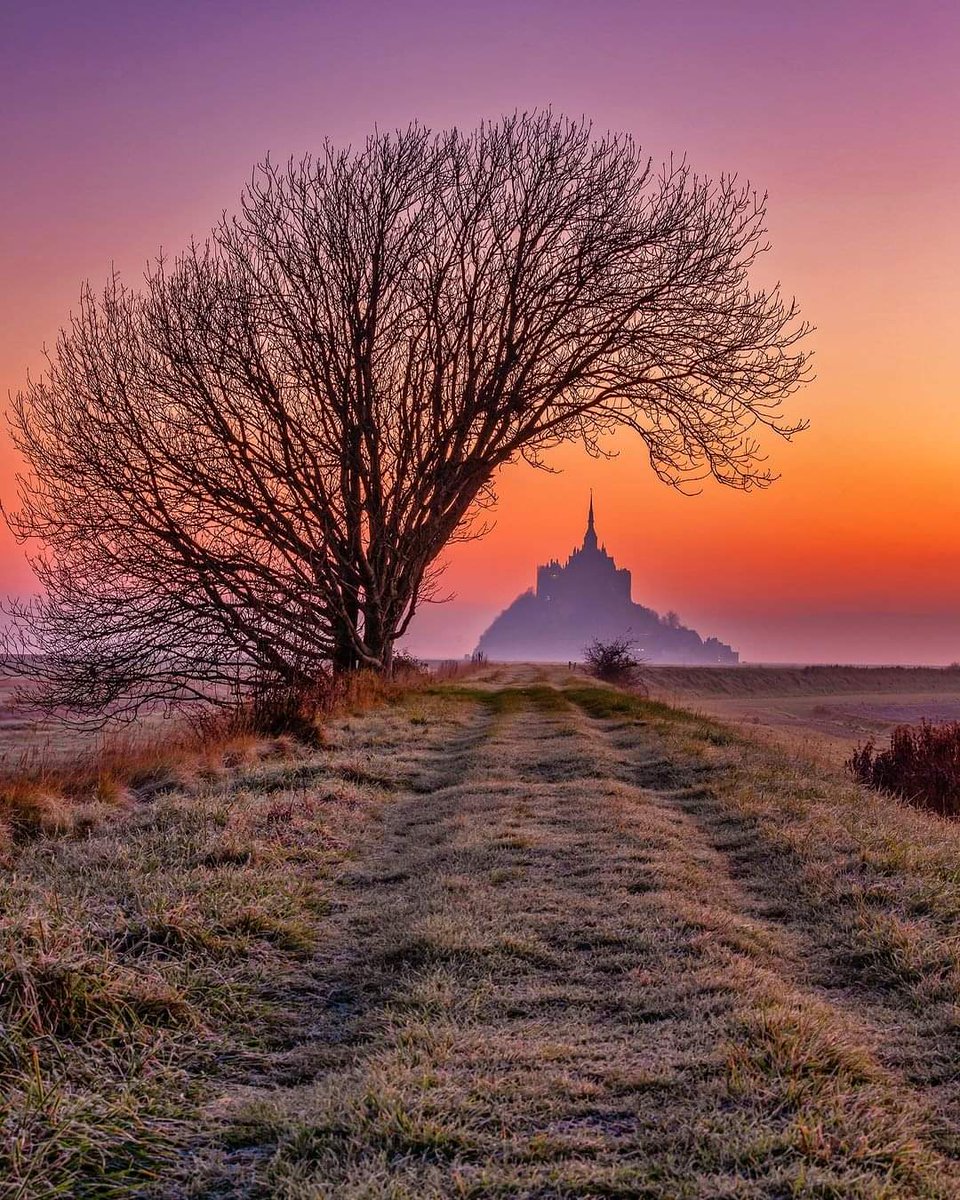 Mont Saint Michel, Normandy, France  🇫🇷
Credit: instagram.com/sylvain_rd_pho…
#montsaintmichel #normandy #sunrise_and_sunset #sunrise_sunset_photogroup #sunrise_and_sunsets #sunrise_sunsets_aroundworld #nature #naturephotography #naturelover #beautifulnature #naturelovers #naturephotos